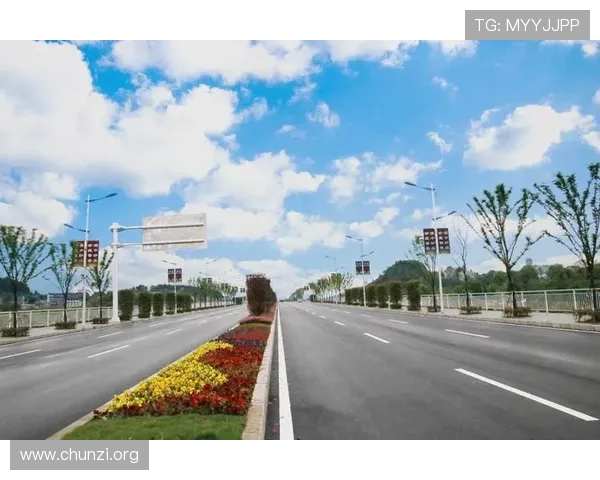 凯发电游官网游戏种类全面介绍，满足不同玩家的多样化需求